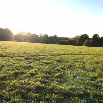 rexs0nic's profile picture. Mind the gap