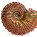 Susan naylor (@sue11937) Twitter profile photo Susan naylor (@sue11937) Twitter profile photo