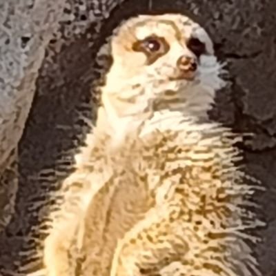 Ept88H's profile picture. ？？？