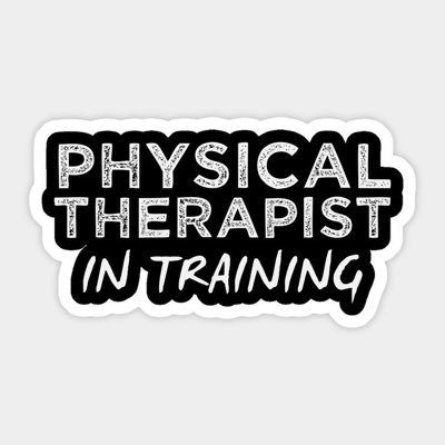 Physical therapy intern …