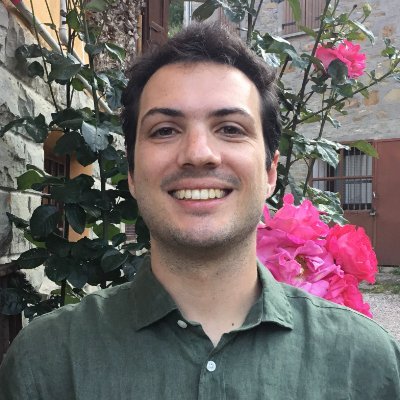 Political scientist, studying politics in multilingual places
