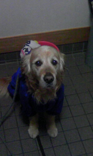 miya708wi's profile picture. デニム大好き／コーヒー