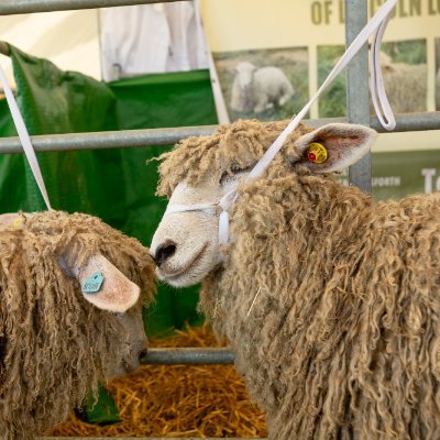 Lincolnshire Show Profile
