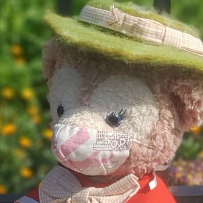 🎀めの🎀さんのプロフィール画像
