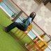 EDRINE NANONO (@rinahunderson) Twitter profile photo EDRINE NANONO (@rinahunderson) Twitter profile photo