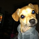 Sarah Jane Jansen - @shorty424 - Twitter