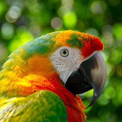 Walpaper4K's profile picture. 