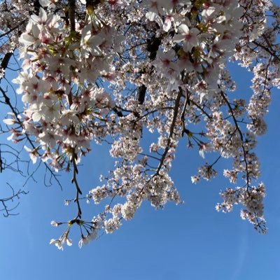 ko8396295928598's profile picture. 