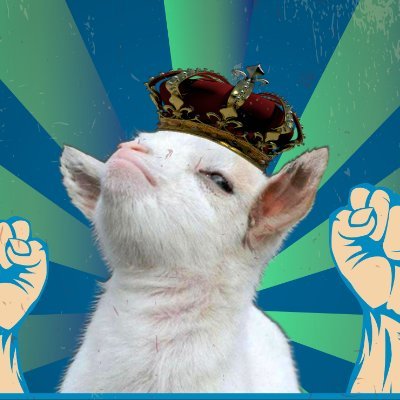 A project driven to achieve the title of Meme Coin King by hyper-deflationary principles, blockchain gaming, and DAO. We aim for the throne and the dollar mark.