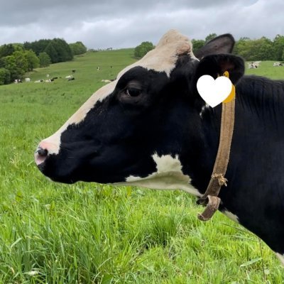 horonobeninaite's profile picture. 北海道 幌延町(ほろのべちょう) 幌延町では酪農での新規就農相談を随時受け付けています🐮 あなたも酪農での新規就農を目指してみませんか？🐄気軽にフォローして下さいね♪