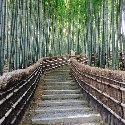 kyotohanarism23's profile picture. 「世界一の観光地“京都”の魅力発信」をテーマに”観光ブランド”としての京都を深堀りする事を目的とし、単なる観光地やグルメの紹介だけでなく、京都をもっと好きになって貰うための情報もお届けします。ブログ運営も行ってますのでぜひご覧下さい☺️どうぞよろしくお願いします！ 👇👇👇👇👇