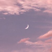 ぽん (@jo1__vo3ov_) 's Twitter Profile