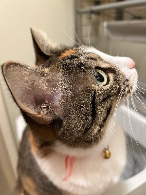 すさんのプロフィール画像