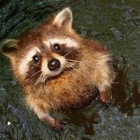 エダマサヒロ (@masahiro1794) 's Twitter Profile