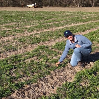 IndiaWarrenHic1's profile picture. Research Scientist at DPIRD Esperance