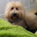 Eric Zimmer - @ZimmerEric - Twitter