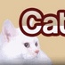 Cat Sitter Hong Kong (@catsitterhk) Twitter profile photo Cat Sitter Hong Kong (@catsitterhk) Twitter profile photo