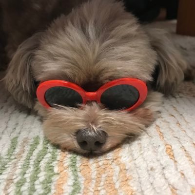 3年前からNetflixの韓ドラにハマってしまって演技ドルの子達が気になり➡️K-pop➡️n SS ign kayzutaの沼へどっぷりハマってしまった💘 こんな私、今めっちゃ幸せ😀