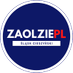 zaolzie PL (@ZaolziePL) Twitter profile photo