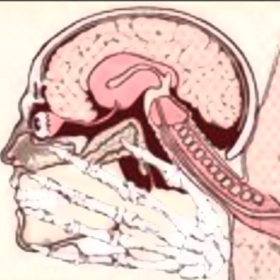 Idiot28891912's profile picture. #Brainfuck | #Cash | #Scat | #Piss | #Toilet | #KV | #NS | #Gloves | #Zahlschwanz | 🇩🇪uncutsmell | 🇹🇷addicted | 🇾🇪dependent |
* 50 y/o brainfucked Idiot *