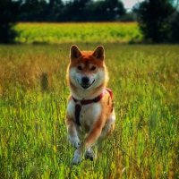 Économie, Sciences, Animaux (@profitedela_vie) 's Twitter Profile