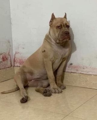 XCring36882's profile picture. Bi Bi Bi