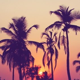 justinlee9509's profile picture. 