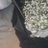 _muo99's profile image