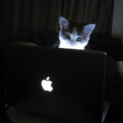 AleemaSalam's profile picture. Muslimah || Data Analyst/ Engineer || Data Analyst @ Qfactor technology