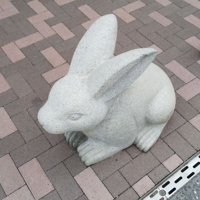 wataru_www's profile picture. 