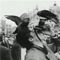 TonySwift753513's profile picture. 