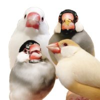 nico (@k_u_nico) 's Twitter Profile Photo nico (@k_u_nico) 's Twitter Profile Photo
