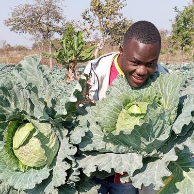 Msc. Ir. Agronome, spécialiste en cultures maraîchères. 
Producteur des fruits et légumes frais. 
 +(243) 979579984, 859047517.
salomonamisi97@gmail.com