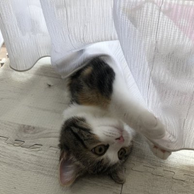 2PQ7uYnunt82223's profile picture. 哲学的なことを発信する趣味垢＊.｡.:*･ﾟ
価値のあるものを発信できるようになりたいです！
好きなものはそばと雑貨屋さんめぐりです
無言フォロー失礼します(⁠◍⁠•⁠ᴗ⁠•⁠◍⁠)