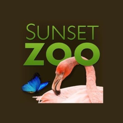 Sunset Zoo is Manhattan's own accredited Zoo; inspiring conservation of the natural world. 150+ animals & open 360 days a year! Visit daily from 9:30am-5pm.