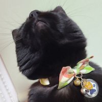 どらい/どら猫(@hypnoSpirA) 's Twitter Profile Photo