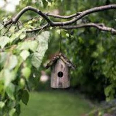 Boobalan123123's profile picture. 