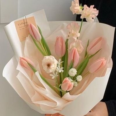 @yyrsoul