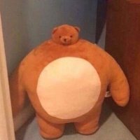 Krayt (@bearkrayt) 's Twitter Profile