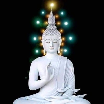 ARVINDK833294's profile picture. Son