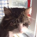 Daniel Remillard - @DanielRemi69670 - Twitter