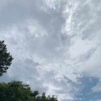 龍彩 (@ryuusai1028) 's Twitter Profile