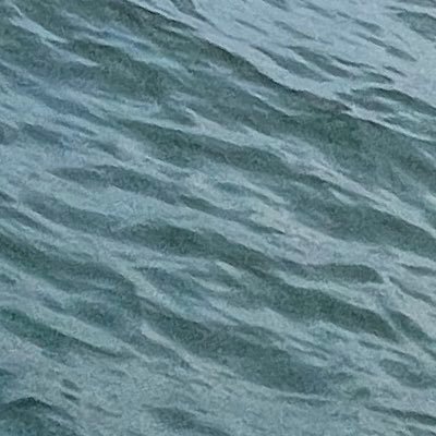 _sonu_babu_'s profile picture. 📢电报群✈   https://t.co/IDboKSgN0y     🎉🎉在线看🎉🎉不用下载 ！各种稀缺 各种绝版⏰⏰⏰⏰各种特殊资源都有！最懂你💃family 点赞评论免费送交友群