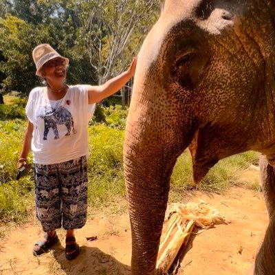 bena_patel's profile picture. I am just browsing, Retweets are not endorsements