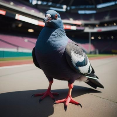 The official Twitter for 2019 World Series Champion Rufus the #RallyPigeon. Go 1-0 today 🐦