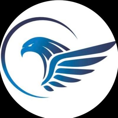 FalconryFinance Profile Picture