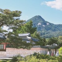 Do Kim, M.D. (@dowhankim) 's Twitter Profile