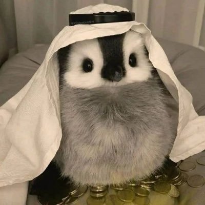 ابحث عن فرصة 🤓
