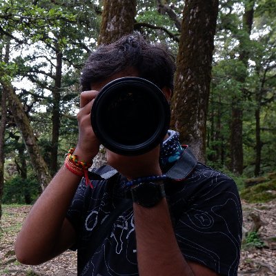 ___thepostman's profile picture. "We keep this love in a photograph
We made these memories for ourselves
Where our eyes never close
Hearts are never broken
And time's forever frozen, still"