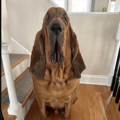 SkidMarKing420's profile picture. 